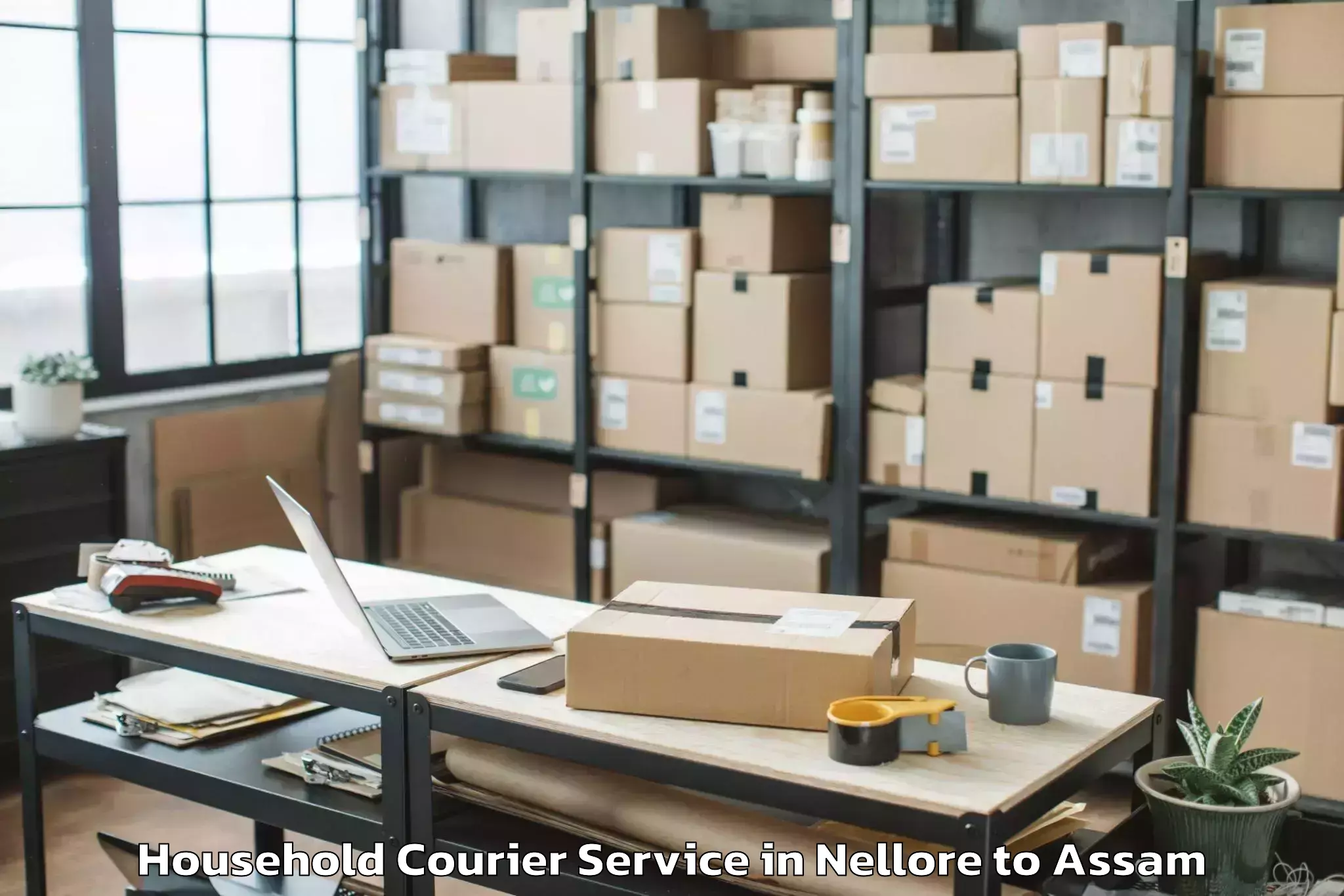 Easy Nellore to Iit Guwahati Household Courier Booking